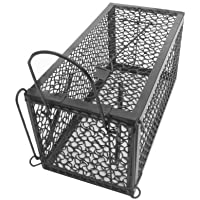 WARKHOME 1-door ratón hierro jaula trampa- humano- Animal Catcher para ratón- ratas- Hamster- Topo- Mustela- Gopher y…